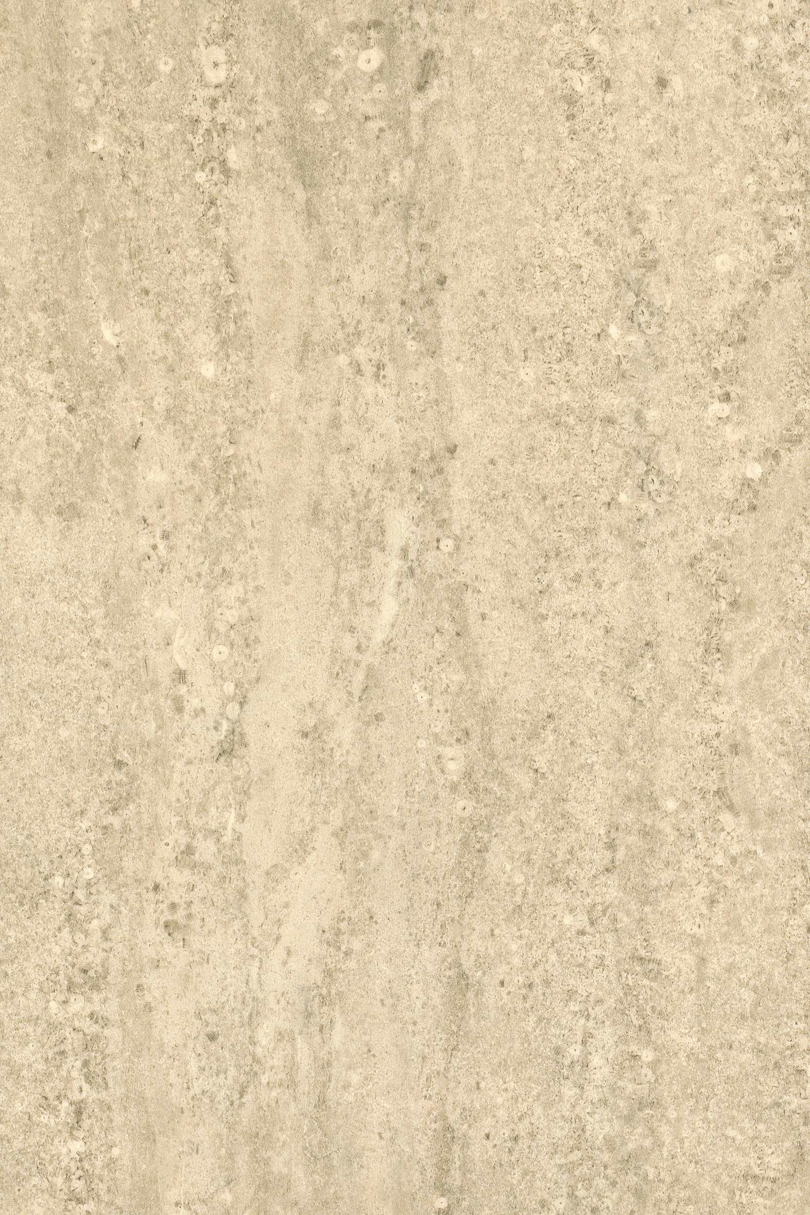 INVICTUS MAXIMUS Tivoli Stone Dryback