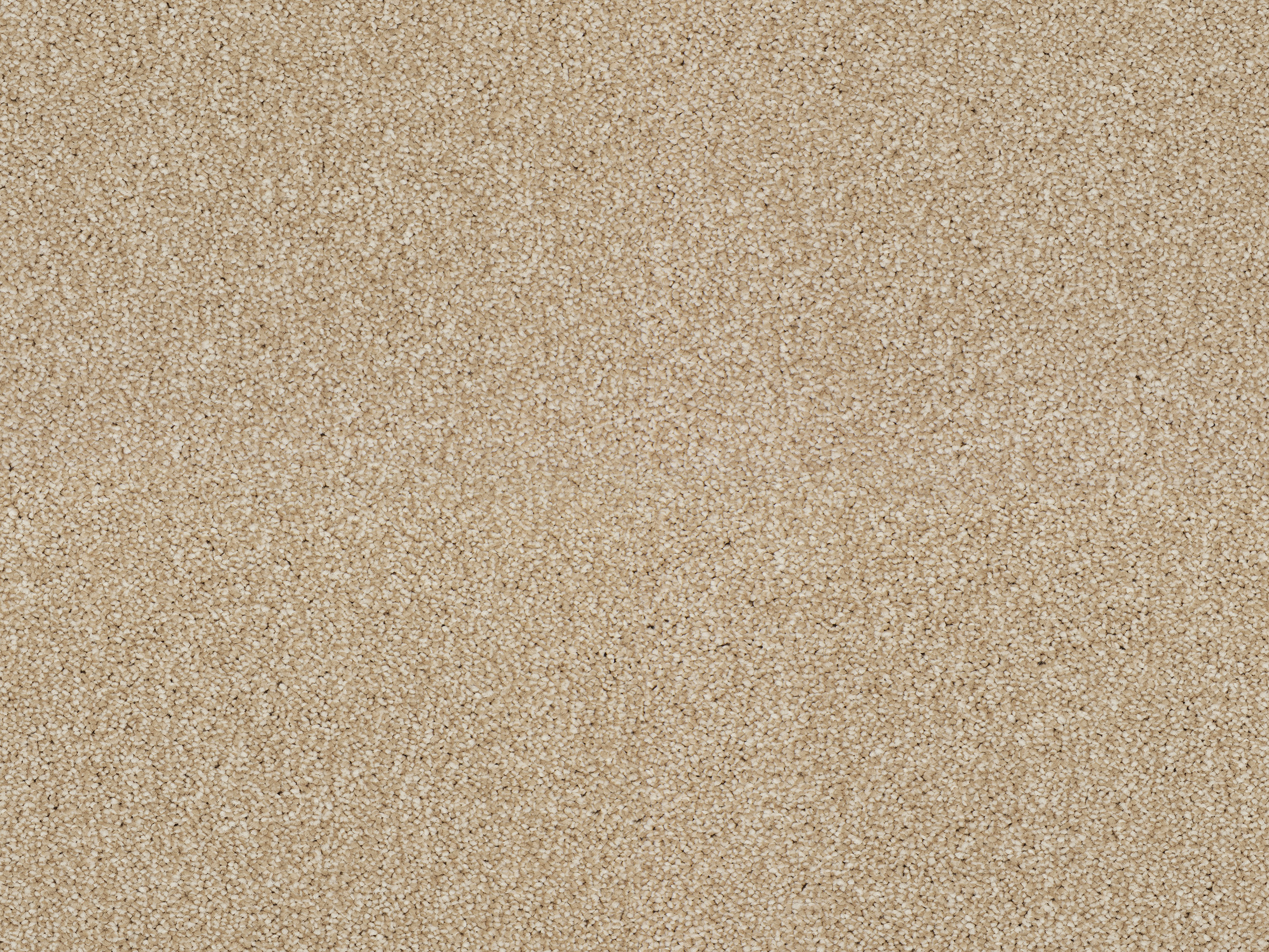 **CLEARANCE** Heather Twist Elite