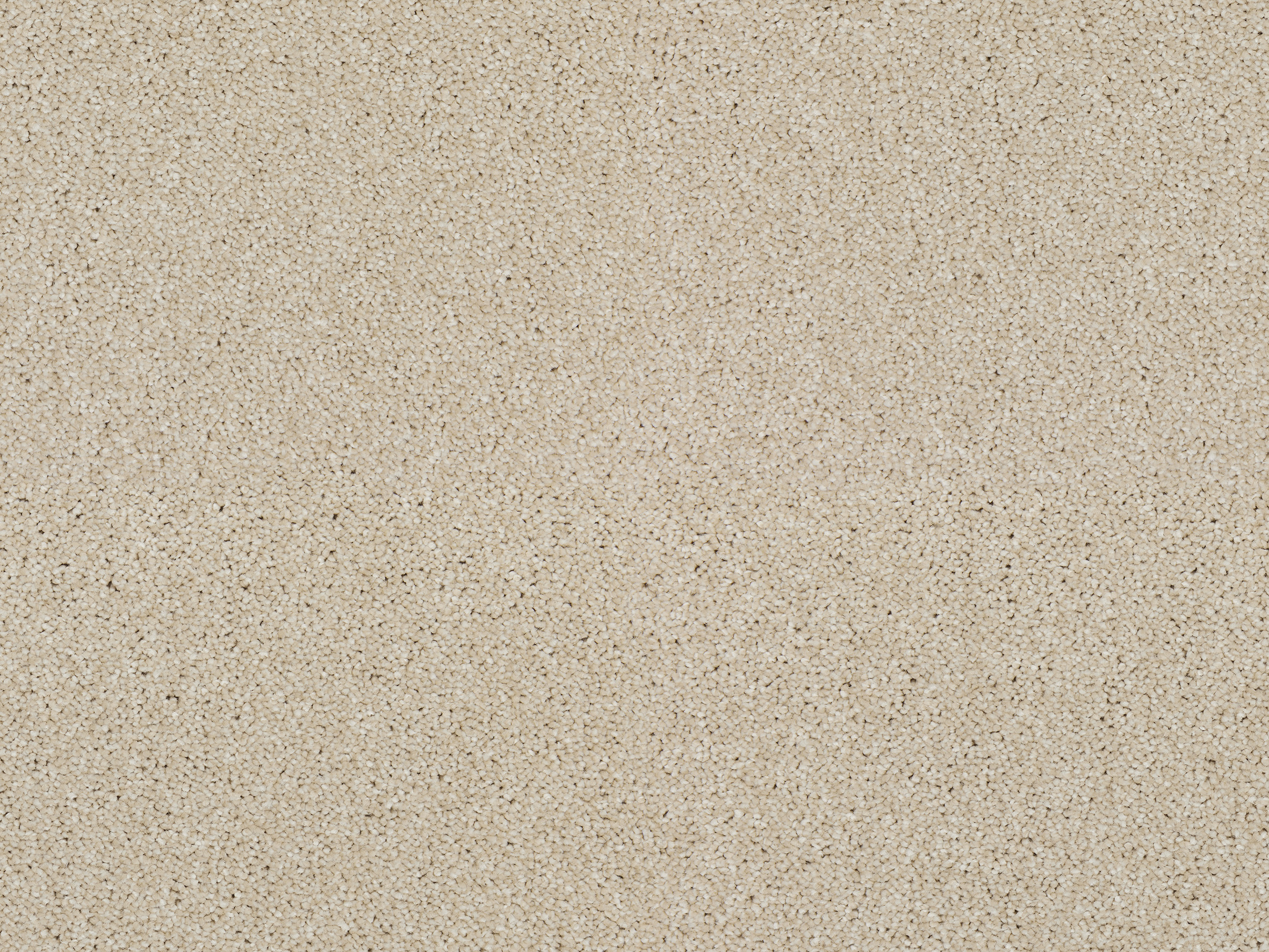 **CLEARANCE** Heather Twist Elite