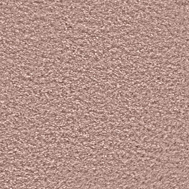 **CLEARANCE** Aurelius